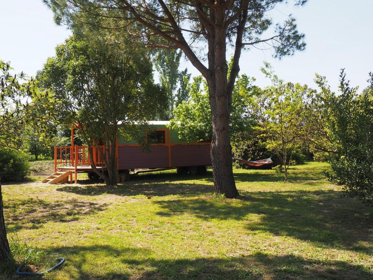 Les Gites Du Domaine De Rhodes Avignon Bilik gambar